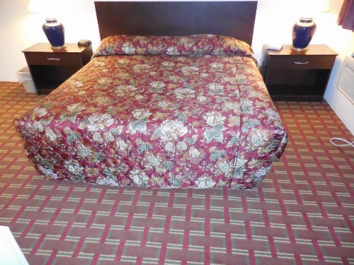 Bellingham Lodge image 19